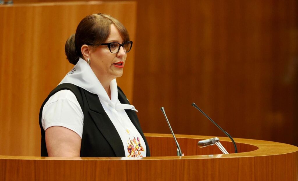 SORIA ¡YA! DEFIENDE 15 PROPUESTAS EN EL DEBATE DE POLÍTICA GENERAL CASTILLA Y LEÓN