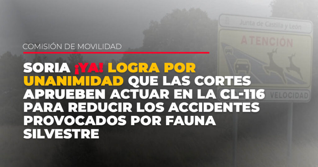 SORIA ¡YA! logra que las Cortes aprueben por unanimidad actuar en la CL-116 para reducir los accidentes provocados por fauna silvestre