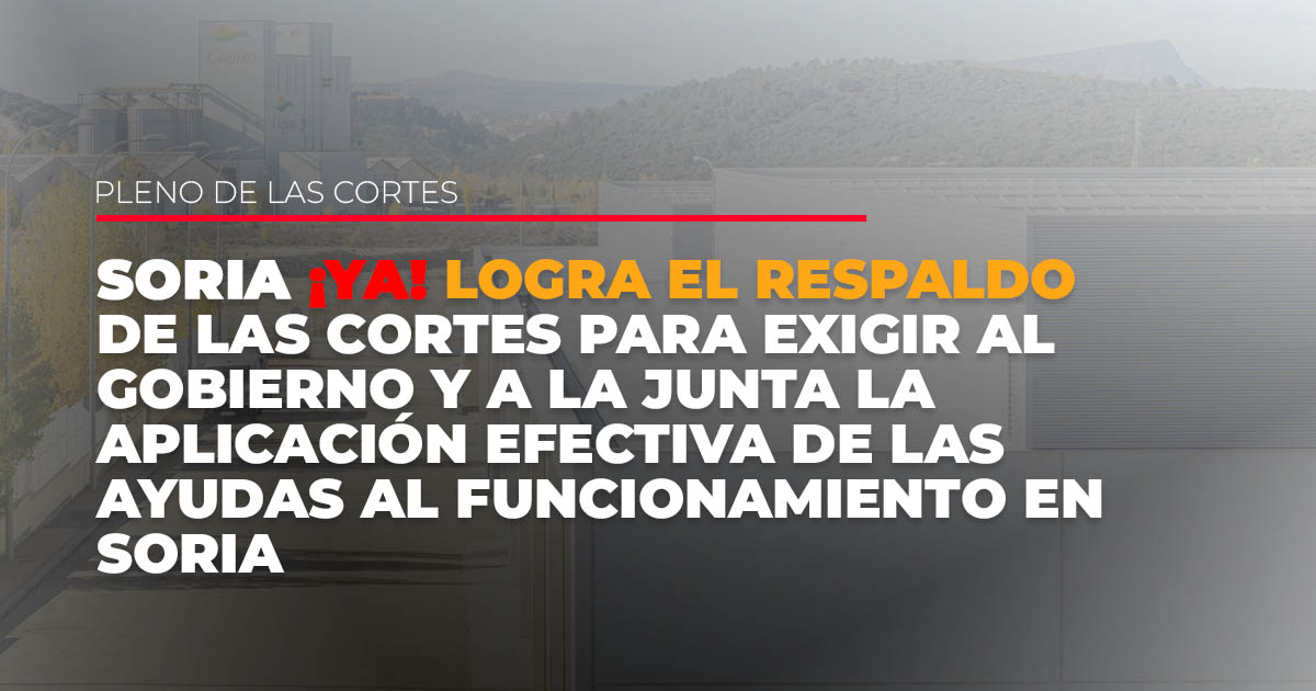 Soria Ya logra el respaldo de las Cortes para exigir al Gobierno y a la Junta la aplicación efectiva de las ayudas al funcionamiento en Soria