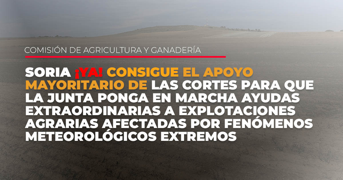 Soria ¡YA! logra el apoyo mayoritario de las Cortes para que la Junta ponga en marcha ayudas extraordinarias a explotaciones agrarias afectadas por fenómenos meteorológicos extremos