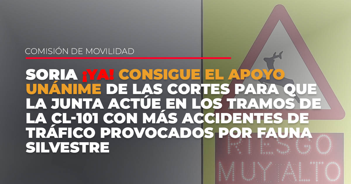 Soria ¡YA! consigue el apoyo unánime de las Cortes para que la Junta actúe en los tramos de la CL-101 con más accidentes de tráfico provocados por fauna silvestre