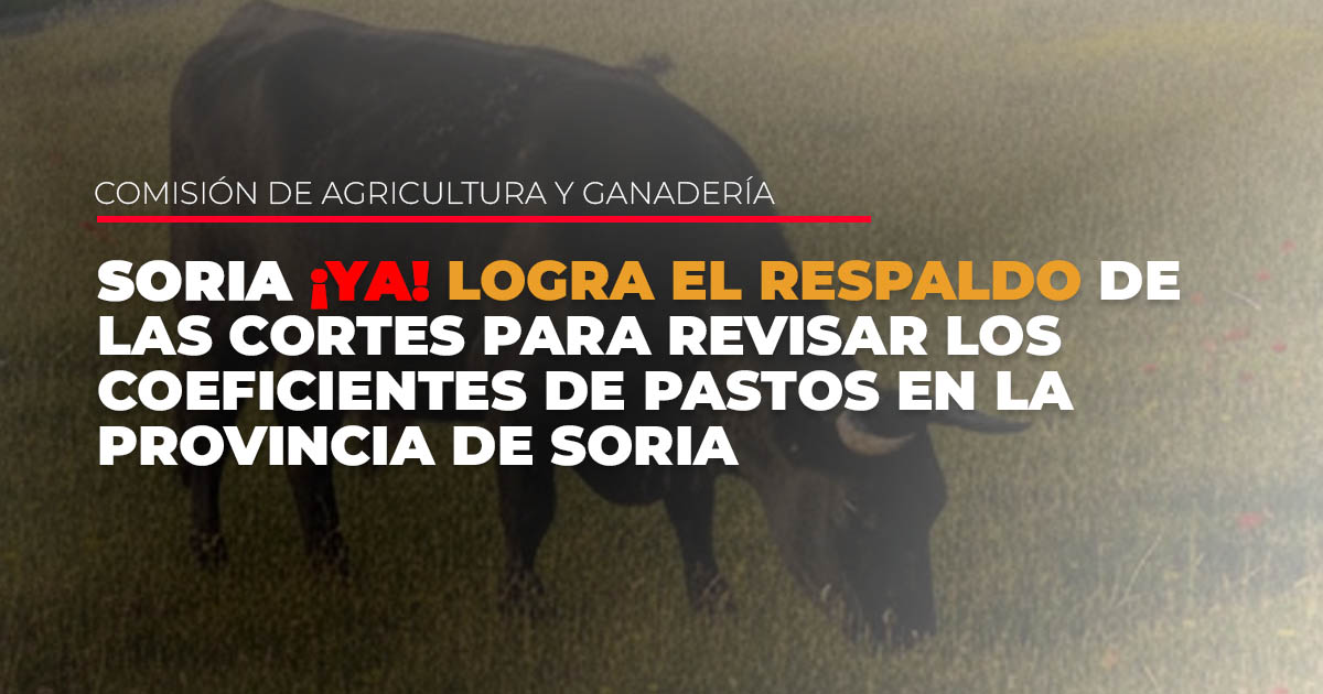 Soria ¡YA! logra el respaldo de las Cortes para revisar los coeficientes de pastos en la provincia de Soria